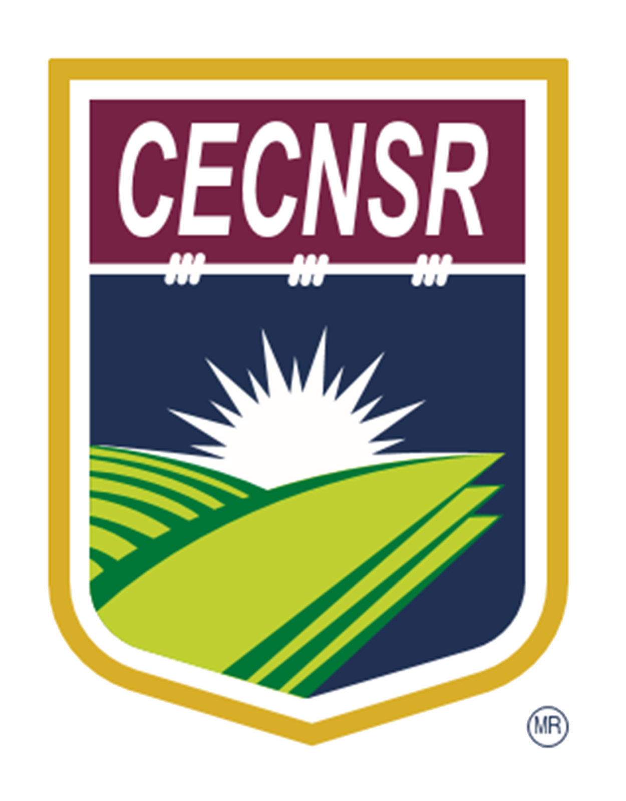 Logo CECNSR